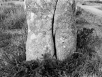 Large split standing stone with gorse, Carnac