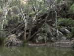 Creek in Wilpena Pound Flinders Ranges