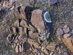 Rocks and lichens in the Flinders Ranges