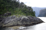 Rocks, forest, water and clouds in Milford Sound