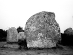 The standing stones, Carnac