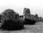 Many large standing stones,  Carnac