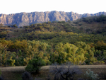 View of the southern Flinders Ranges