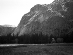 Field near Merced River, Yosemite